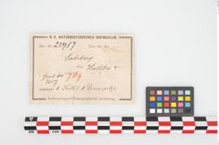 Etikett zu Eisenlappenbeil (NHMW-PRAE-025987)